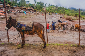 @-S-Paradis-Sacred-Ethiopia-16