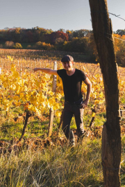FRANCE - SOUTH-WEST - ORGANIC WINE - ANIMAL TRACTION - HORSE - TRADITIONAL VINEYARD PLOUGHING - WINEGROWER