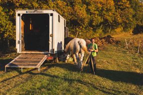FRANCE - SOUTH-WEST - ORGANIC WINE - ANIMAL TRACTION - HORSE - TRADITIONAL VINEYARD PLOUGHING - WOMAN - APPRENTICE