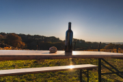 FRANCE - SOUTH-WEST - ORGANIC WINE - BIODYNAMICS - BOTTLE - TRADITIONAL VINEYARD PLOUGHING
