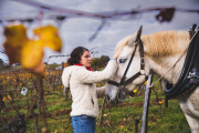 FRANCE - SOUTH-WEST - ORGANIC WINE - ANIMAL TRACTION - HORSE - TRADITIONAL VINEYARD PLOUGHING - WOMAN