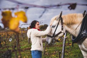 FRANCE - SOUTH-WEST - ORGANIC WINE - ANIMAL TRACTION - HORSE - TRADITIONAL VINEYARD PLOUGHING - WOMAN