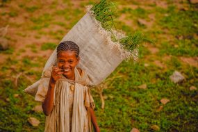 @-S-Paradis-Sacred-Ethiopia-105