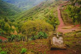 @-S-Paradis-Sacred-Ethiopia-35