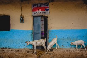 @-S-Paradis-Sacred-Ethiopia-81