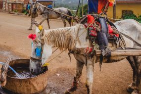 @-S-Paradis-Sacred-Ethiopia-82