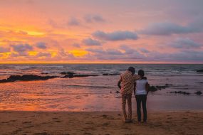 @-S-Paradis-Poetical-Guinea-2