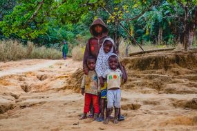 @-S-Paradis-Poetical-Guinea-28