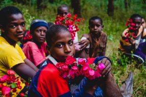 1_@-S-Paradis-Poetical-Guinea-2