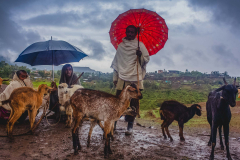 @-S-Paradis-Sacred-Ethiopia-18