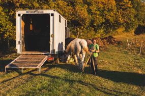 FRANCE - SOUTH-WEST - ORGANIC WINE - ANIMAL TRACTION - HORSE - TRADITIONAL VINEYARD PLOUGHING - WOMAN - APPRENTICE