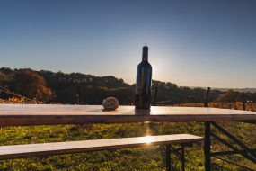 FRANCE - SOUTH-WEST - ORGANIC WINE - BIODYNAMICS - BOTTLE - TRADITIONAL VINEYARD PLOUGHING