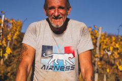 FRANCE - SOUTH-WEST - ORGANIC WINE - ANIMAL TRACTION - HORSE - TRADITIONAL VINEYARD PLOUGHING - PLOUGHMAN