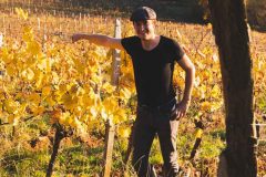 FRANCE - SOUTH-WEST - ORGANIC WINE - ANIMAL TRACTION - HORSE - TRADITIONAL VINEYARD PLOUGHING - WINEGROWER