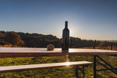 FRANCE - SOUTH-WEST - ORGANIC WINE - BIODYNAMICS - BOTTLE - TRADITIONAL VINEYARD PLOUGHING