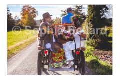 LE FABULEUX MARIAGE DE MAX ET AURELIE