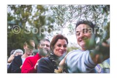 LE FABULEUX MARIAGE DE MAX ET AURELIE