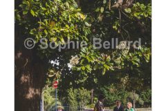 LE FABULEUX MARIAGE DE MAX ET AURELIE
