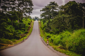 1_@-S-Paradis-Poetical-Guinea-14