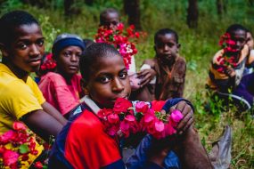 1_@-S-Paradis-Poetical-Guinea-2