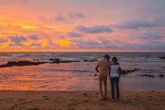 @-S-Paradis-Poetical-Guinea-2